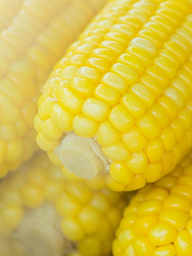 5 Simple Snacks You Can Make From Corn